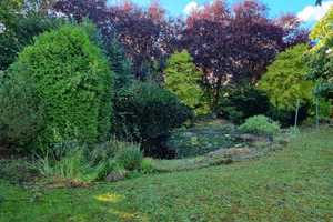 Arbeiten und Wohnen in Villa mit Wohlfühl-Garten + Schwimmbad – Miltenberg (Kreis) – Vorschaubild 77