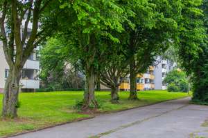 ''Jetzt bei uns mieten und wohlfühlen''"Gemütliche Wohnung in ruhiger Lage" – 44309 Brackel (Ortsteil), Dortmund – Vorschaubild 6