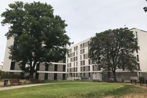 Helles 1-Zimmer-Appartement in Berlin-Wedding