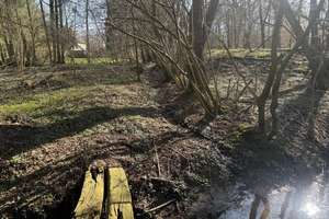 Viel Platz auf Traumgrundstück mitten im Landschaftsschutzgebiet – Die vollständige Adresse der Immobilie erhältst du vom Anbieter., 27711 Osterholz-Scharmbeck – Vorschaubild 10