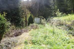 Ihr neues strahlungsarmes Heim in ruhiger Aussichtslage von Mühringen – Die vollständige Adresse der Immobilie erhältst du vom Anbieter., 72160 Horb am Neckar – Vorschaubild 12