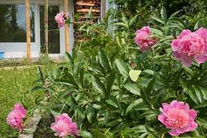Property thumbnail 26