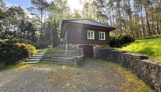 Bild von Charmantes und modernisiertes Haus auf mehr als 4500 m² Grundstück am Waldrand