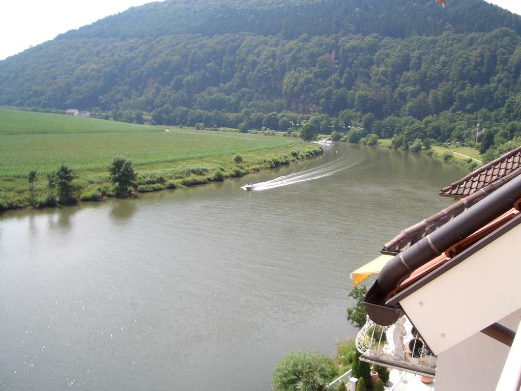 Immobilie in Neckarsteinach - Charmante 4,5-Zimmer Dachgeschosswohnung in Neckarsteinach, voll renoviert - Bild 0