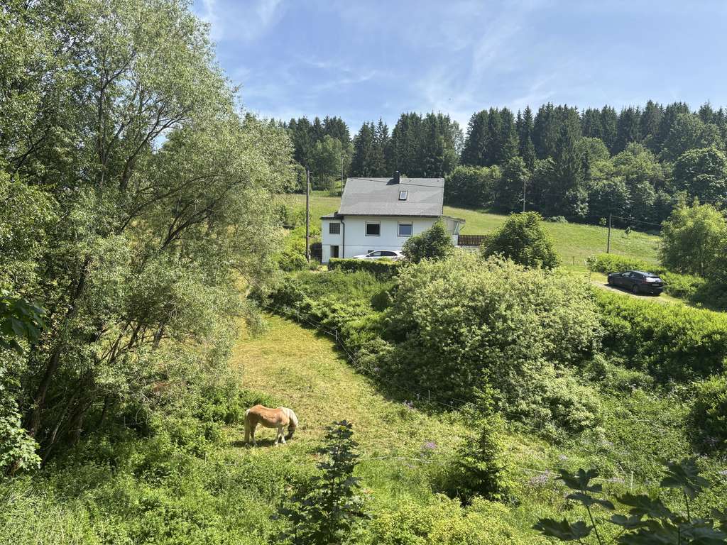 Immobilie in Sonneberg - Einfamilienhaus in ruhiger Lage - Bild 4