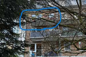 Property thumbnail 18