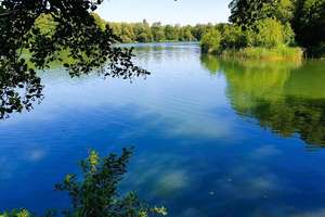 Property thumbnail 44