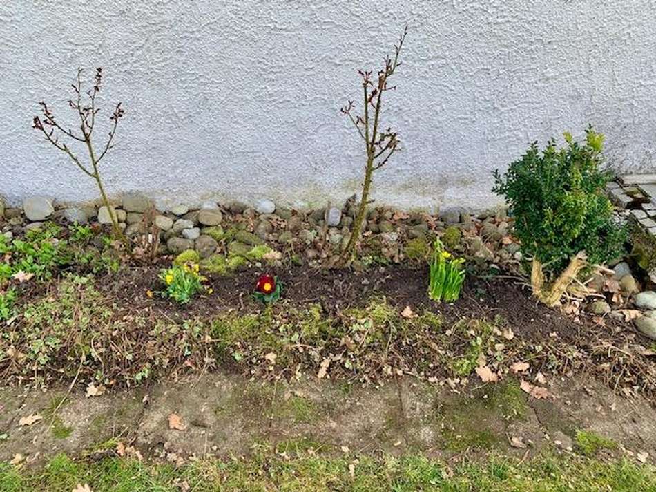 Frühlingsimpressionen