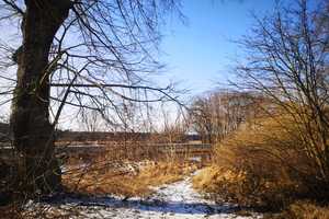 Leben wie im Urlaub- Einzigartiges  Haus am Voßkanal – Oberhavel (Kreis) – Vorschaubild 40