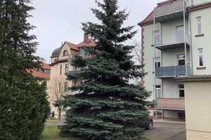 Freundliche und sanierte 3-Raum-Wohnung mit gehobener Innenausstattung,Balkon & Kamin in Grimma – Karl-Marx-Straße 5, 4668 Grimma – Vorschaubild 11