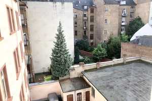 ***Individuelle 2 ZKB- Altbauwohnung, zentrale Lage*** – Kaiser-Friedrich-Ring 17, 65165 Wiesbaden – Vorschaubild 16