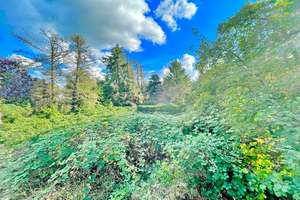 Winkelwalmdachbungalow im Dornröschenschlaf sucht Familie zum Wachküssen * Schatz im Garten inkl. * – Achtern Höben 0, 24576 Bad Bramstedt – Vorschaubild 12