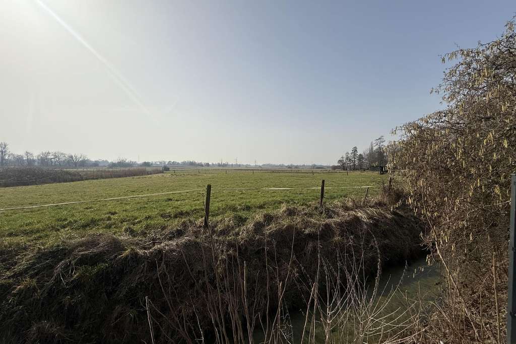 Immobilie in Ritterhude - 1-2-3 Wohneinheiten: Sie entscheiden! Die tolle Lage bleibt.  - Bild 4