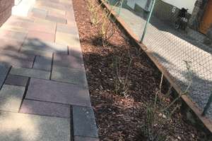 Zentrale Lage in Offenbach Stadtmitte  – 63071 Bachschule, Offenbach am Main – Vorschaubild 4