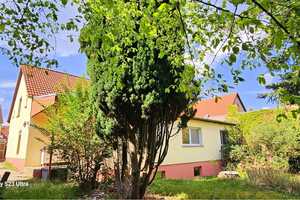 Charmantes, interessantes Haus (zu sanieren) mit 2-geschossiger Remise und 2 Garagen – Potsdam-Mittelmark (Kreis) – Vorschaubild 3