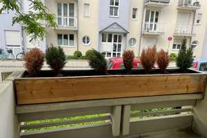 Property thumbnail 19