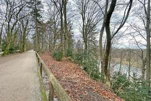 Property thumbnail 14