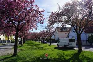 *München Feldmoching* Charmantes, top gepflegtes Einfamilienhaus mit Wohlfühlgarten – München – Vorschaubild 35