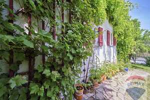 Jurahaus am Frauenberg mit großem Garten, Denkmalschutz, Saniert – Eichstätt (Kreis) – Vorschaubild 15