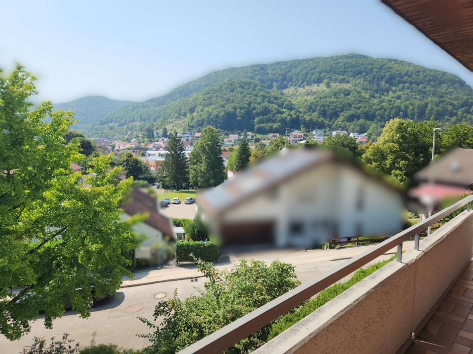 Ausblick