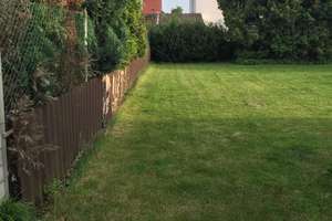 Charmantes, renoviertes Einfamilienhaus mit großem Garten – Im Schaffner 5, 69123 Pfaffengrund, Heidelberg – Vorschaubild 28