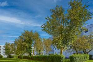 Property thumbnail 16