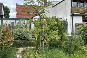 Besichtigungstermin für Gemütliches Siedlungshäuschen – Alzey-Worms (Kreis) – Vorschaubild 24