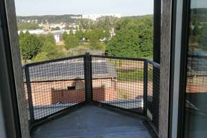 Property thumbnail 13