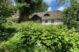 Friesenhaus auf dem Deich – Dingsbülldeich 3, 25840 Nordfriesland (Kreis) – Vorschaubild 5