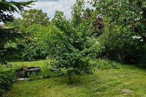 Property thumbnail 47