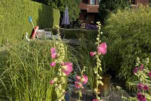 Schöne Doppelhaushälfte mit Pool und großen Garten in Bargfeld-Stegen – Stormarn (Kreis) – Vorschaubild 4