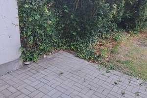 Praktische 1,5-Zimmer-Wohnung in Essen-Frohnhausen – Breslauer Strasse 37, 45145 Frohnhausen, Essen – Vorschaubild 10