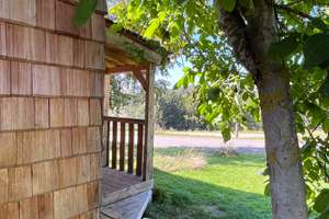 Tiny House zu vermieten im Südschwarzwald – Die vollständige Adresse der Immobilie erhältst du vom Anbieter., 79875 Dachsberg (Südschwarzwald) – Vorschaubild 11