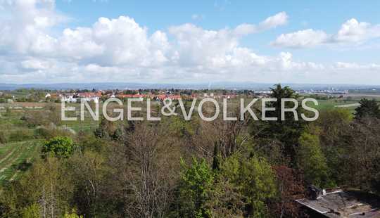 Bild von Exklusives Baugrundstück mit fantastischem Blick zum Taunus in Mainz Lerchenberg