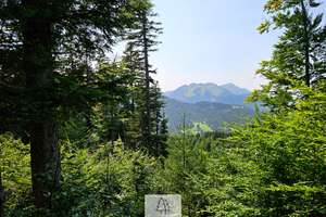Einzigartiges Naturjuwel in den Allgäuer Alpen – anerkannte Alpe mit Wald- und Weideflächen – Die vollständige Adresse der Immobilie erhältst du vom Anbieter., 87538 Balderschwang – Vorschaubild 21