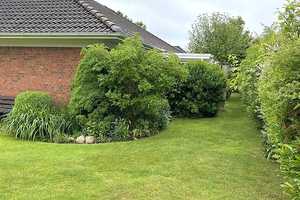Toller Bungalow mit Einliegerwohnung in sehr guter Lage in Sörup / Ostsee ! Hier will man hin ! – Schleswig-Flensburg (Kreis) – Vorschaubild 6