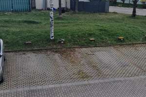 Helle, gut aufgeteilte 2 Raum-Wohnung mit Balkon in sehr ruhiger Wohnlage – In den Weiden 25 a, 99090 Kühnhausen, Erfurt – Vorschaubild 13