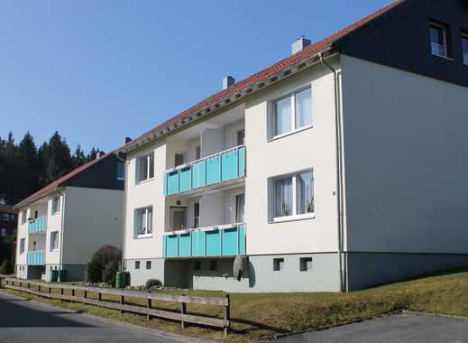 Single wohnung goslar