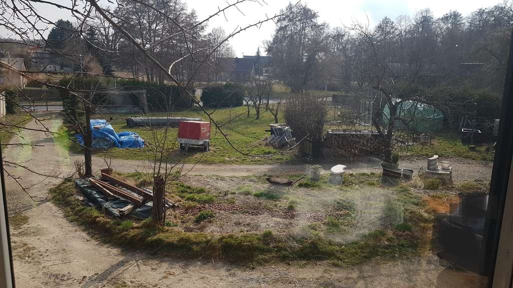 Immobilie in Felixsee - Historischer Tanzsaal mit ca. 410 m² Wohnfläche – außergewöhnliche Immobilie mit viel Potenzial - Bild 1