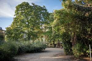 Kapitalanleger *aufgepasst*: PROVISIONSFREIE Eigentumswohnung im Prenzlauer Berg - Helmholtzkiez – Wichertstraße 43, 10439 Prenzlauer Berg, Berlin – Vorschaubild 10
