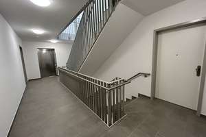 Neubau! 4 Zimmer | Letzte freie Wohnung! Familienfreundlich & modern – Venusstraße 8, 64285 Bessungen, Darmstadt – Vorschaubild 12