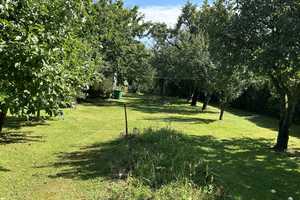 Natur und Ruhe pur -  6-Raum-Einfamilienhaus in Zidderich nahe der Mecklenburger Seenplatte – Goldberger Straße 2, 19399 Parchim (Kreis) – Vorschaubild 54