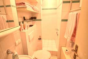 Charmante 2 ZKBB-Wohnung mit Blick auf den Neckar – Die vollständige Adresse der Immobilie erhältst du vom Anbieter., 69118 Schlierbach, Heidelberg – Vorschaubild 16