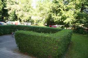 Property thumbnail 15