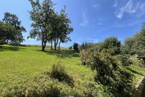 TOP Immobilie in idyllischer Ortsrandlage! – Die vollständige Adresse der Immobilie erhältst du vom Anbieter., 56746 Kempenich – Vorschaubild 12