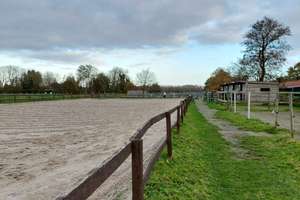 +++Preisreduzierung+++
Exklusives Pferdeanwesen mit Ferienvermietung – etablierter Betrieb zur dire – Die vollständige Adresse der Immobilie erhältst du vom Anbieter., 26487 Neuschoo – Vorschaubild 18
