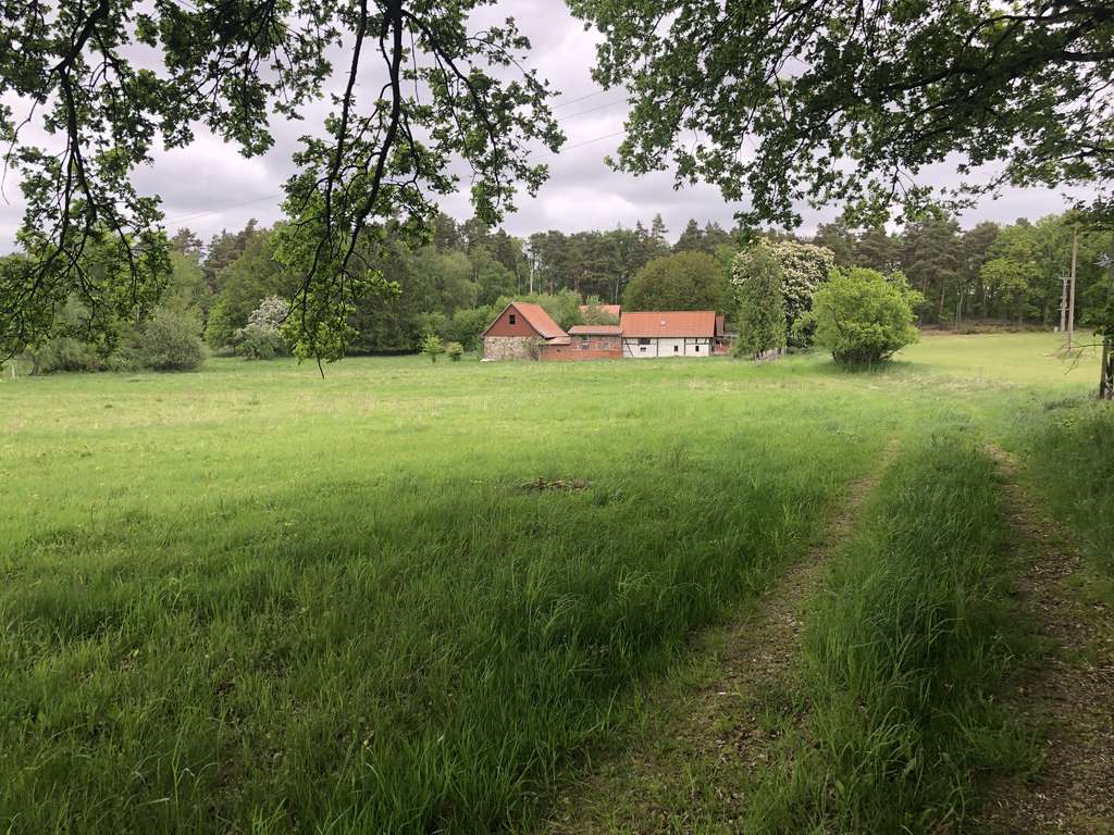 Immobilie in Putlitz - Anwesen in Alleinlage, 18,6 ha arrondiert - Bild 1