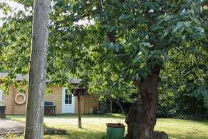 Wohnen in Westensee - Natur pur und Platz genug im Einfamilienhaus XXL – Rendsburg-Eckernförde (Kreis) – Vorschaubild 6