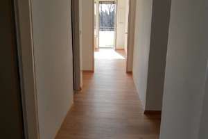 Vollständig renovierte, sonnige 2-Zimmer-Wohnung mit EBK, Süd-/West-Balkon in Solln – Geigenbergerstraße 13, 81477 Solln, München – Vorschaubild 15