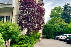 3-Zimmer-Wohnung mit 2 Balkons (Ost- und Westseite)- Im Stadtteil Mitte – Die vollständige Adresse der Immobilie erhältst du vom Anbieter., 64283 Darmstadt-Ost, Darmstadt – Vorschaubild 11
